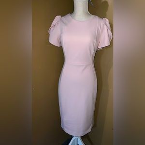 Calvin Klein size 8 pink knee length dress